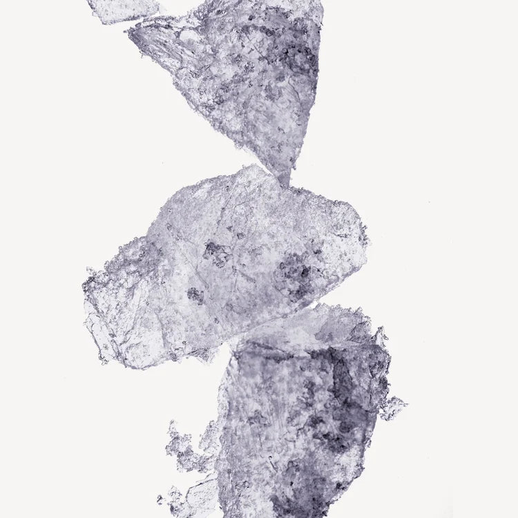 IRIS SUPRÊME 100ML HOMME