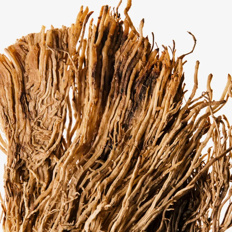 IRIS SUPRÊME 100ML HOMME