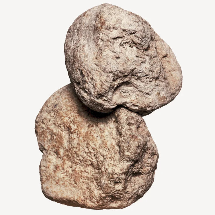 VOLZAK PARFUM  PARFUM ICONIC 100ML FEMME